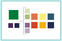 Color Palette & Design Elements