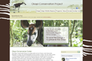 web_design